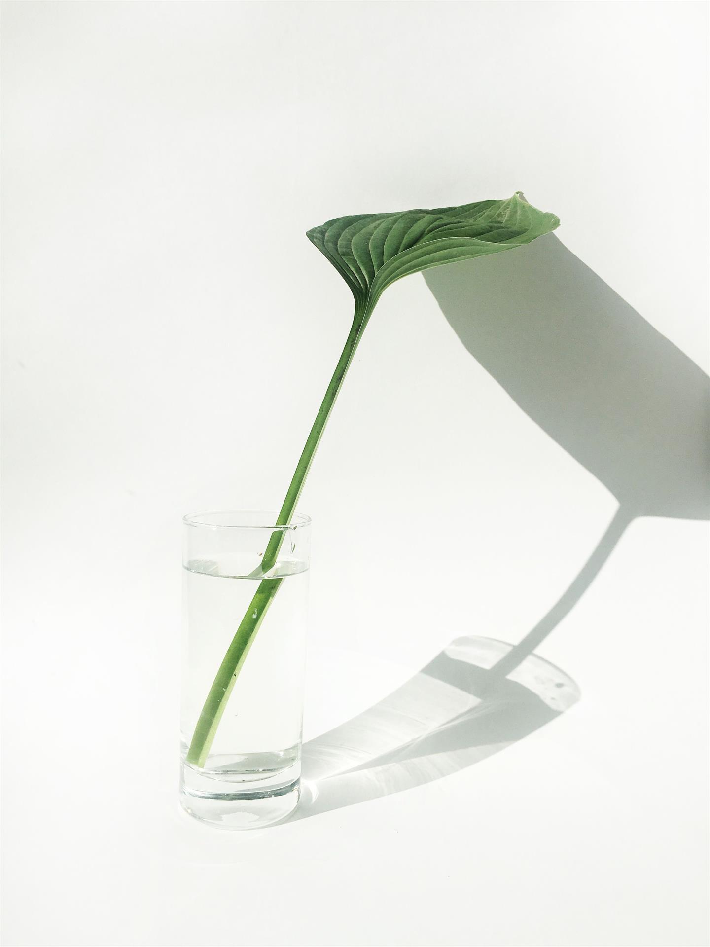 Artisanal hand-blown glass decanter and glassware reflecting soft light